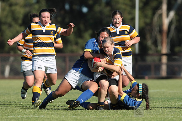 W College Rugby: UCLA vs Cal
