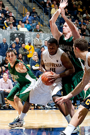 Cal Men's Basketball v Cal Poly