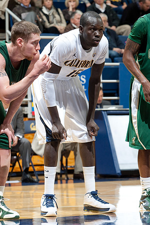 Cal Men's Basketball vs Cal Poly