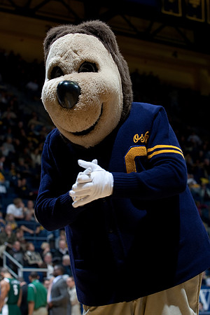 Cal Men's Basketball vs Cal Poly