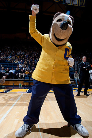 Cal Men's Basketball vs USC
