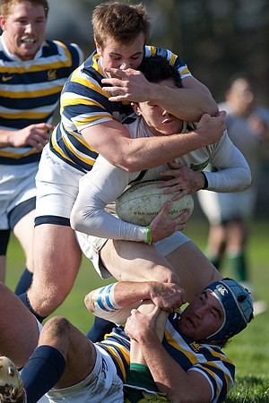 Cal Rugby vs Sac State