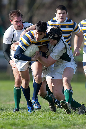 Cal Rugby vs Sac State