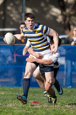 Cal Rugby vs Sac State