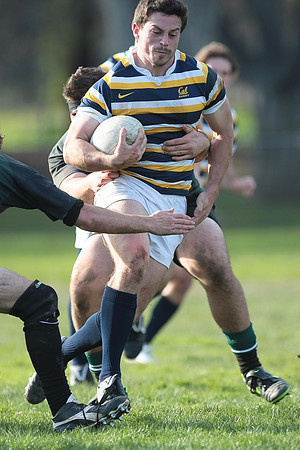 Cal Rugby vs Sac State