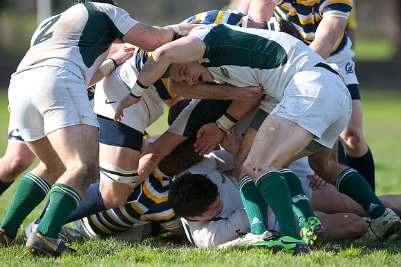 Cal Rugby vs Sac State