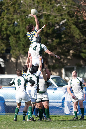 Cal Rugby vs Sac State