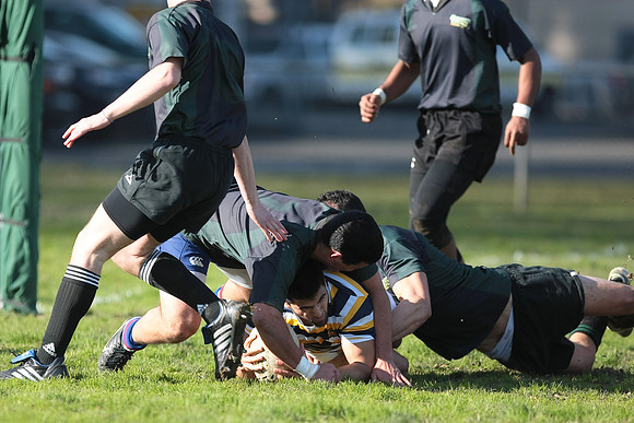 Cal Rugby vs Sac State