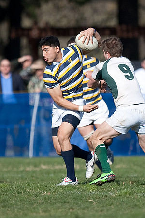 Cal Rugby vs Sac State