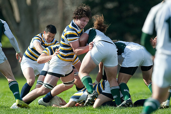 Cal Rugby vs Sac State