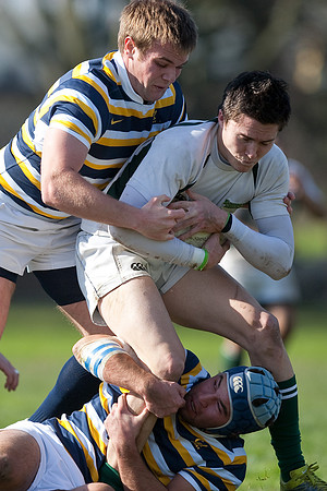 Cal Rugby vs Sac State