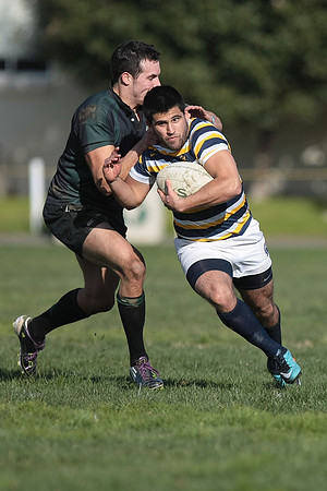 Cal Rugby vs Sac State