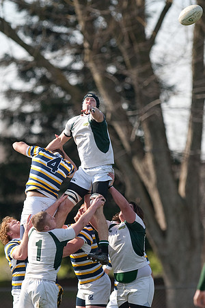Cal Rugby vs Sac State