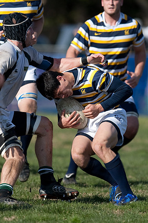Cal Rugby vs Sac State