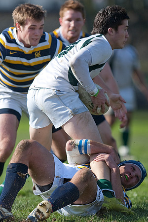 Cal Rugby vs Sac State