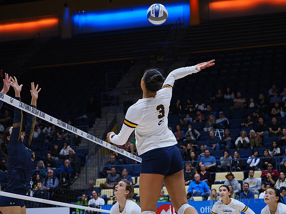 Volleyball: California Golden Bears vs Notre Dame Fighting Irish