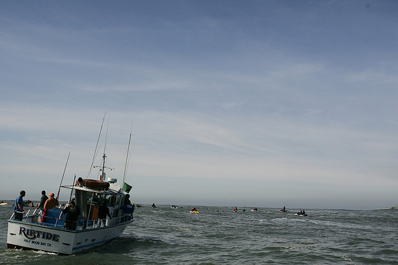 Mavericks 2010
