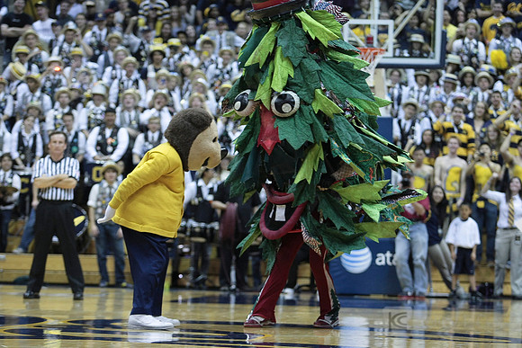 NCAA Basketball: Stanford at California