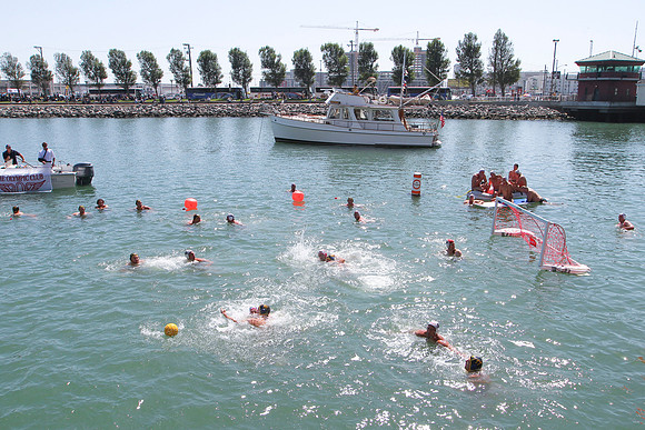 McCovey Cove Water Polo