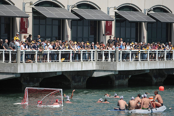 McCovey Cove Water Polo