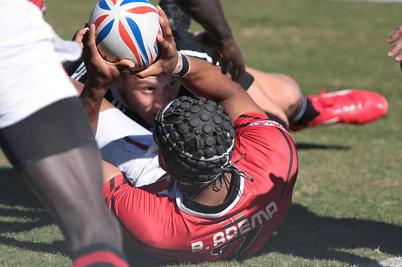 New Zealand vs Kenya
