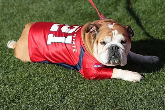 NCAA Football: Fresno State at California
