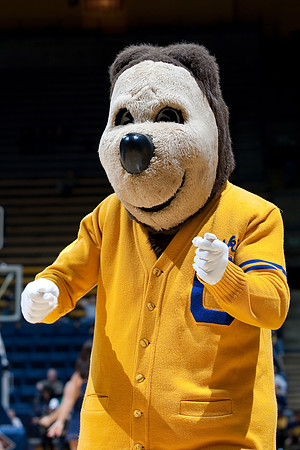 Cal Men's Basketball vs Ole Miss