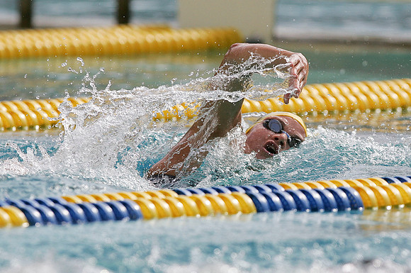 Cal Women's Swimming vs Texas