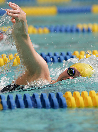 Cal Women's Swimming vs Texas