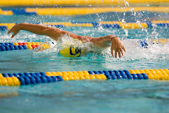 Cal Women's Swimming vs Texas