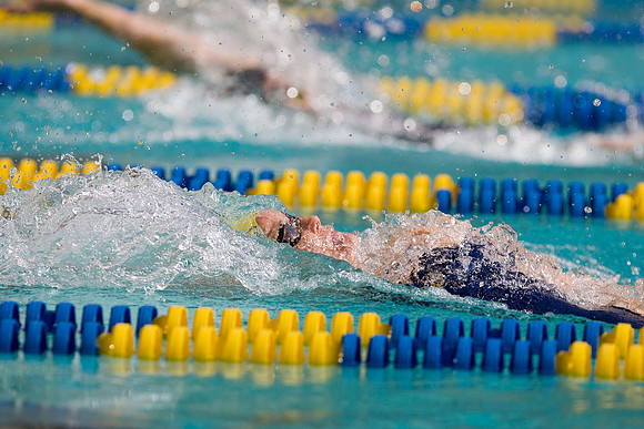 Cal Women's Swimming vs Texas