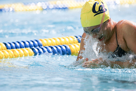 Cal Women's Swimming vs Texas