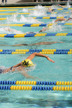 Cal Women's Swimming vs Texas