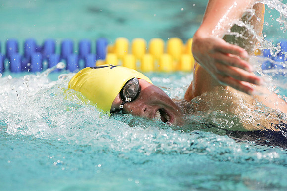 Cal Women's Swimming vs Texas