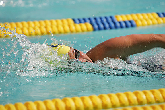 Cal Women's Swimming vs Texas