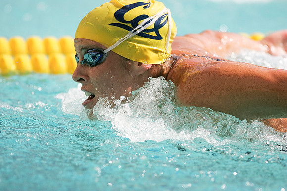 Cal Women's Swimming vs Texas