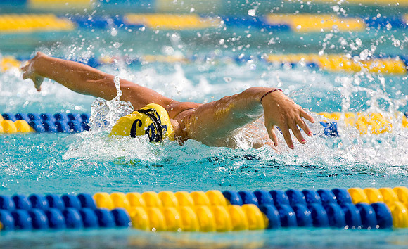 Cal Women's Swimming vs Texas