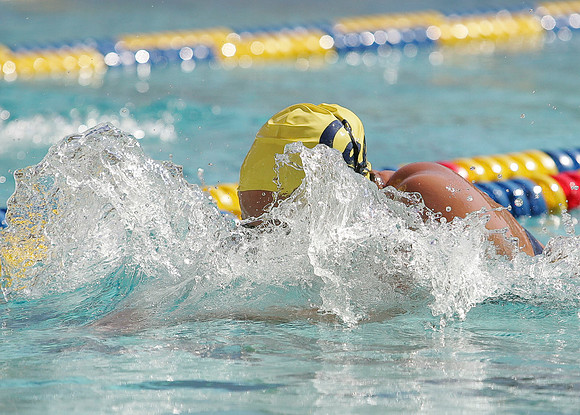 Cal Women's Swimming vs Texas