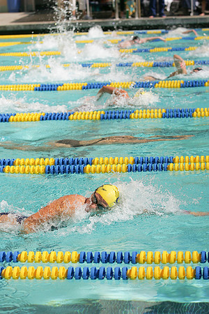 Cal Women's Swimming vs Texas