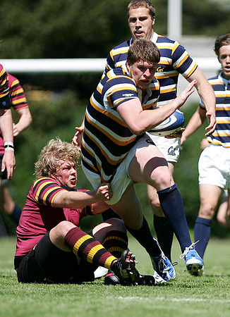 Cal Rugby vs Minnesota