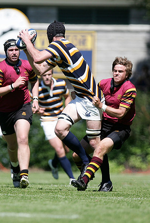 Cal Rugby vs Minnesota