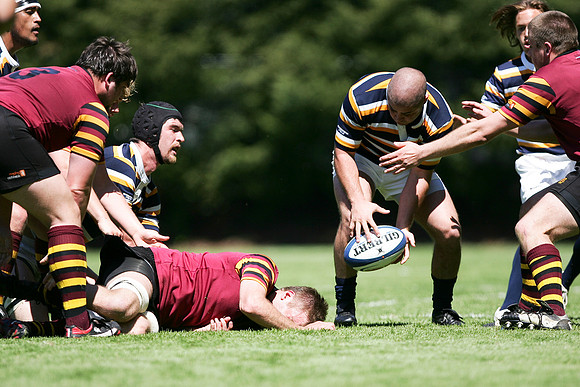 Cal Rugby vs Minnesota