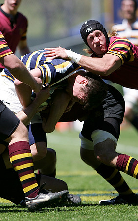 Cal Rugby vs Minnesota