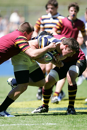 Cal Rugby vs Minnesota