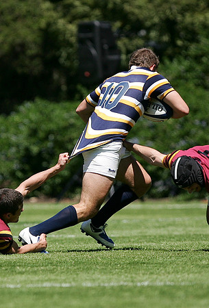 Cal Rugby vs Minnesota