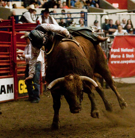 Grand National Rodeo