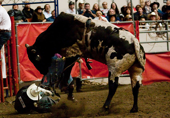 Grand National Rodeo