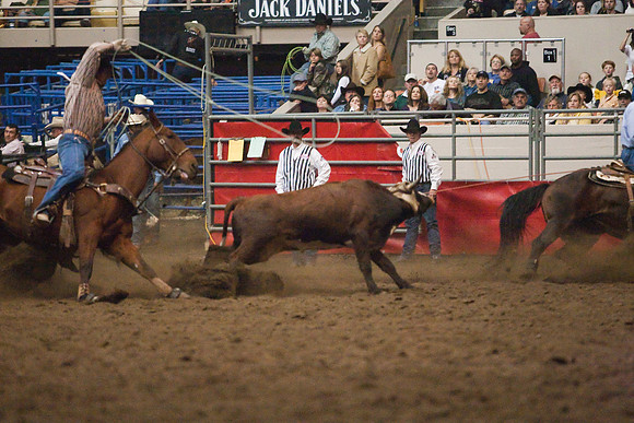 Grand National Rodeo