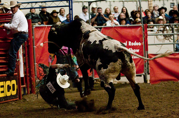 Grand National Rodeo