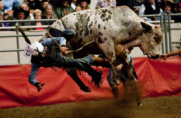 Grand National Rodeo